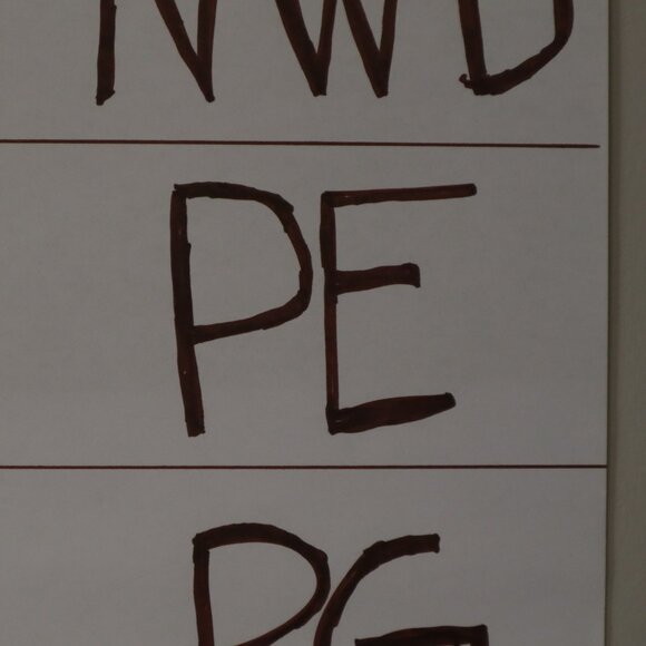 Rachel Zoe Animal Print Silk Dress Womens XS White Trendy Twee Boho Mob Wife NWT - Picture 15 of 16